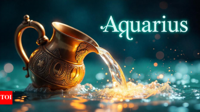Aquarius, Daily Horoscope Today, April 3, 2025: The budget will help to maintain financial security wisely in the budget