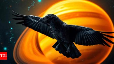 Saturn Daily Horoscope 03 April, 2025: Today’s zodiac sign predictions and Saturn Chalisa Treatment