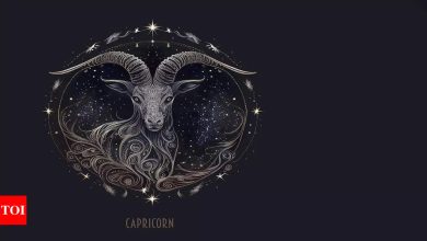 Capricorn Daily Horoscope Today, April 03, 2025: lead love