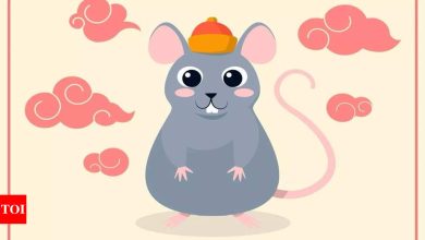 Weekly Chinese Horoscope (April 07 – April 13): Prophets for the amount of rat