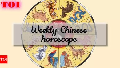 Weekly Chinese horoscope, April 06 to April 12, 2025: 3 Zodiyak who needs to be cautious, learn here