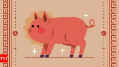 Weekly Chinese Horoscope (April 07 – April 13): Predictions for Pig zodiac sign signal