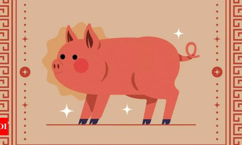 Weekly Chinese Horoscope (April 07 – April 13): Predictions for Pig zodiac sign signal