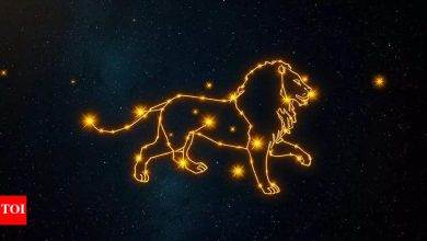 Leo Kundali tomorrow, April 11, 2025: Bravery meets carefully
