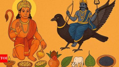 Hanuman Genmotsav 2025 on Saturday: 9 Holy Treatment to reduce the effects of Shani Sati and Dhanya