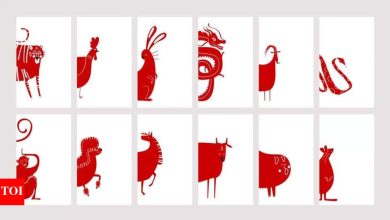Chinese zodiac horoscope today, April 12, 2025: predictions for all animal signals