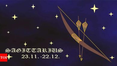Sagittarius Daily Horoscope Today, April 12, 2025: Find the strength in shift