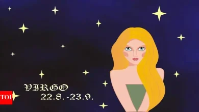 Virgo daily horoscope today, April 13, 2025: Stay ground, be strong