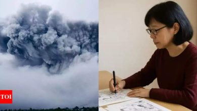 For July 2025, Japan’s ‘Baba Vanga’ predicts mega-tsunami-will we be worried.