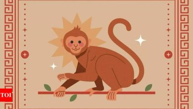 Weekly Chinese Horoscope (April 14 – April 20): Monkey Horoscope for the zodiac