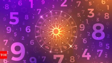 Daily Number Science Pheys on 15 April 2025: Learn what your number says about you