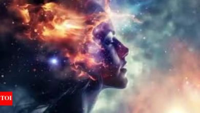 Astrology’s guide to Jodiq Signs deje Wu and are prone to intelligence: search for your hidden sixth meaning