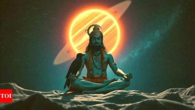 Saturn Daily Horoscope April 20, 2025: Today’s zodiac sign predictions and Saturn Chalisa Treatment