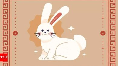 Weekly Chinese Horoscope (April 21 – April 27): Predictions for Rabbit Horoscope