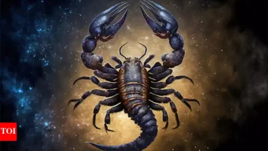 Scorpio Kundali tomorrow, 23 April, 2025: Priority to comfort and soft practices