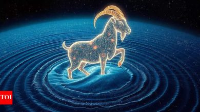 Capricorn Horoscope Tomorrow, April 25, 2025: Romance takes a backseat