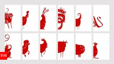 Chinese zodiac horoscope today, April 25, 2025: predictions for all animal signals