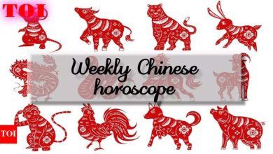 Weekly Chinese horoscope, April 27 to May 03, 2025: 5 Zodiyak who are lucky