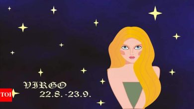 Virgo daily horoscope today, April 28, 2025: The rest is part of the progress