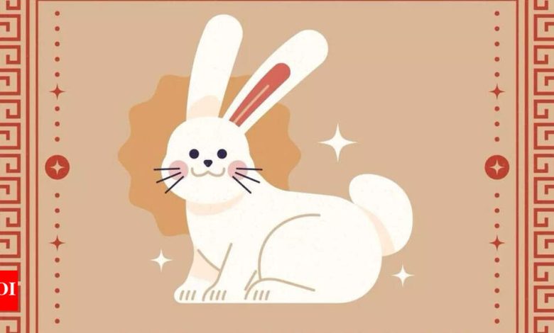 Weekly Chinese Horoscope (28 April – May 04): predictions for the rabbit zodiac Weekly Chinese Horoscope (28 April – May 04): predictions for the rabbit zodiac