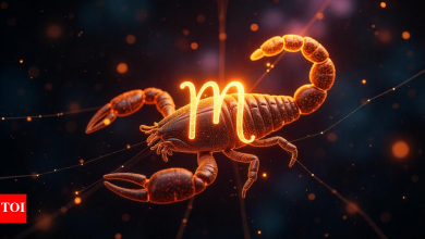 Scorpio horoscope tomorrow, April 29, 2025: An unexpected gift can lift your spirits