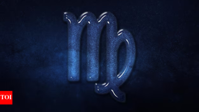Virgo Horoscope tomorrow, April 29, 2025: Analytical mind will be razor-ed