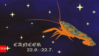 Cancer daily horoscope today, April 30, 2025: Your heat can be more cured today