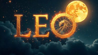 Why do Leos make great public personality?
