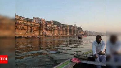 Ganga Saptami 2025: Vedic treatment should be done for Indians abroad to release ancestral curse