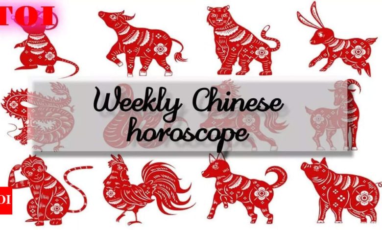 Weekly Chinese horoscope, May 04 to May 10, 2025: 5 pairs who are lucky Weekly Chinese horoscope, May 04 to May 10, 2025: 5 pairs who are lucky