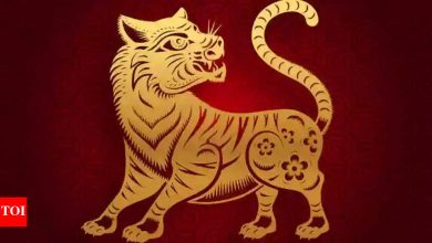 Weekly Chinese Horoscope (May 05 – May 11): Predictions for Tiger Zodiac