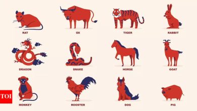 Dragon, Rat, Pig: Top 3 Chinese zodiac which attracts fate