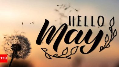 What can each zodiac do to feel more grounded on this May 2025.