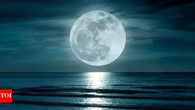 From tide to emotions: Understanding the moon in your birth chart