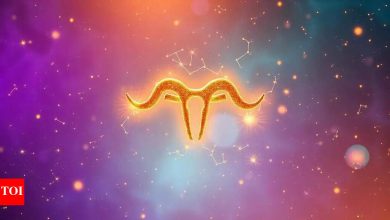 Taurus daily horoscope today, May 12, 2025: Last connection can bring help