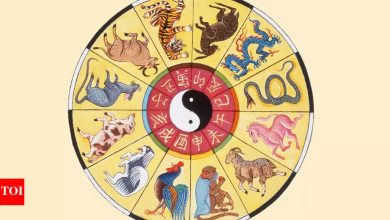 Weekly Horoscope (May 12 to May 18, 2025): Predictions based on your Chinese zodiac sign signal