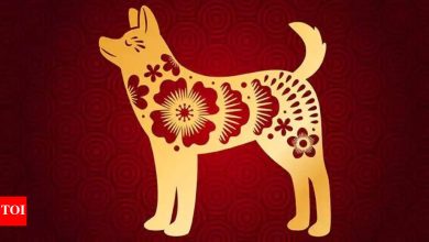 Weekly Horoscope (May 12-18): Predictions for Dog Chinese sign