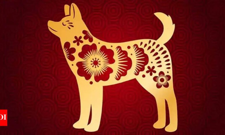 Weekly Horoscope (May 12-18): Predictions for Dog Chinese sign Weekly Horoscope (May 12-18): Predictions for Dog Chinese sign