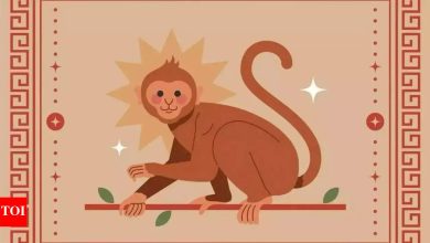 Weekly Horoscope (May 12-18): Monkey Principles for Chinese sign