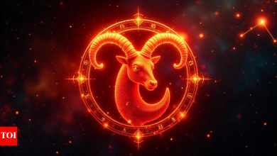 Capricorn Daily Horoscope Today, May 14, 2025: See your price