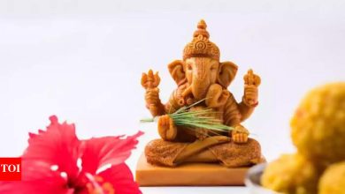 Shankin Chaturthi 2025: Lord Ganesha’s silent strength at night
