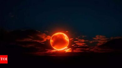 The Sun enters Taurus on 15 May 2025: big innings for these zodiac signs