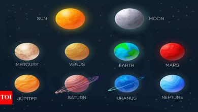 Which zodiacs are more likely to face life conflicts?