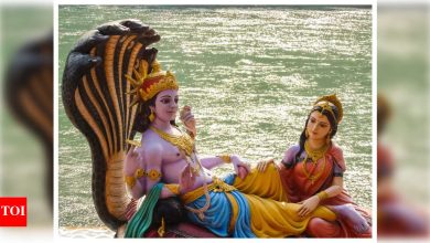 Apara Ekadashi 2025: Date, Parana Time, Pooja Rituals and Achala Ekadashi Importance