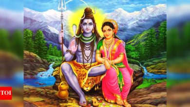 Shani Triodashi May 2025: Date, time, worship rituals and importance