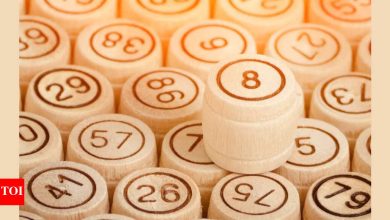 Lucky Number from 25 May to 31 May: Your weekly lucky number revealed