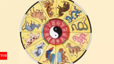 Horoscope today, May 26, 2025: Daily predictions based on your Chinese zodiac
