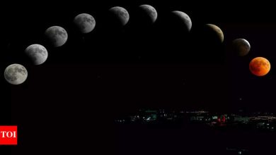 Darshan Amavasya 2025: Your ancestors speak at night – will you hear?