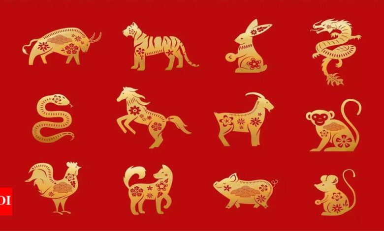 Kundali today, May 27, 2025: Daily predictions based on your Chinese zodiac