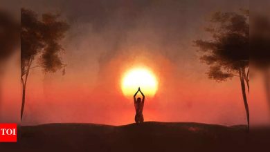 10 Basic Astrology Tips The Sun to the Sun (Surya)